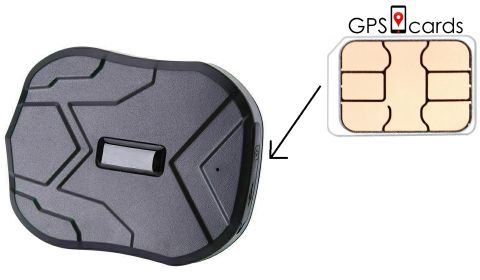 GPS SIM Card for Whistle Explore Ultimate Health & Location Tracker for Pets (Default: Default)